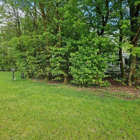 Camping Alkenhaer Appelscha Lege Kampeerplaats エクステリア 写真