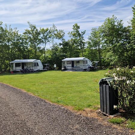 Camping Alkenhaer Appelscha Lege Kampeerplaats エクステリア 写真
