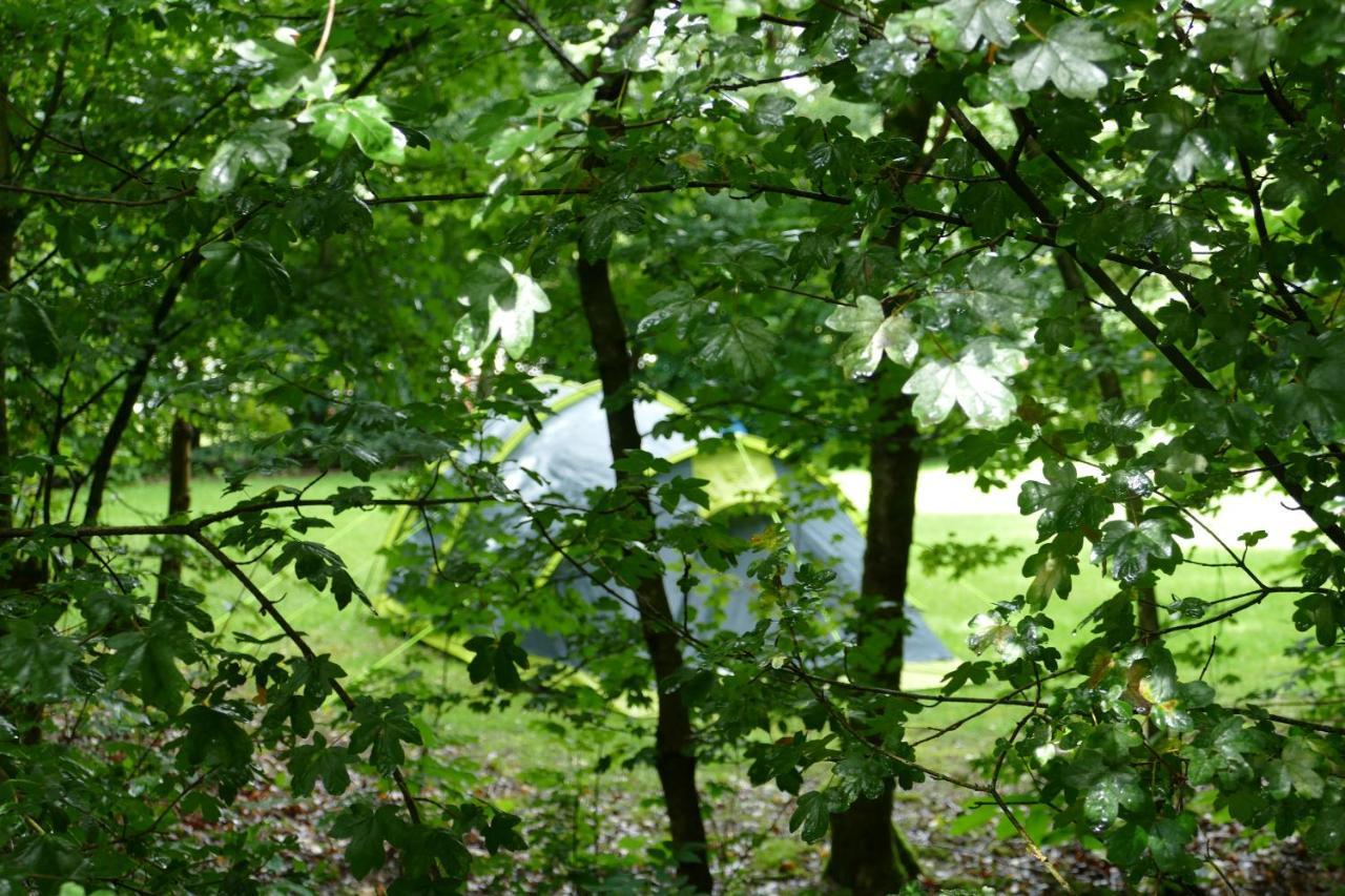 Camping Alkenhaer Appelscha Lege Kampeerplaats エクステリア 写真