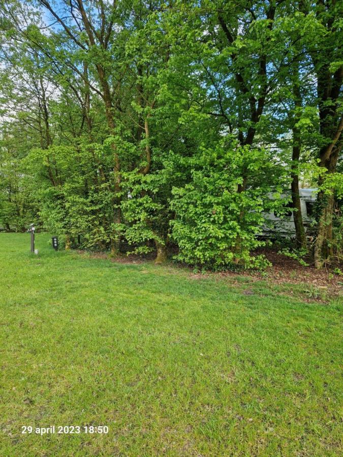Camping Alkenhaer Appelscha Lege Kampeerplaats エクステリア 写真